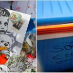 Contenitore per il cuore del piccolo Domenico, confermato l'uso di un frigo portatile a Bolzano