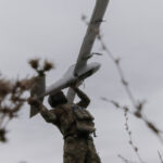 I soldati russi in Ucraina perdono accesso a Starlink, decisione impactata dalla richiesta ucraina