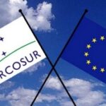 Il Parlamento Ue approva misure di salvaguardia per l'agricoltura in vista dell'accordo con il Mercosur