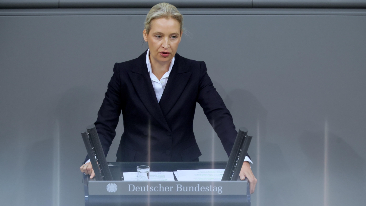 Il tribunale di Colonia stabilisce che l'AfD non è un partito estremista di destra