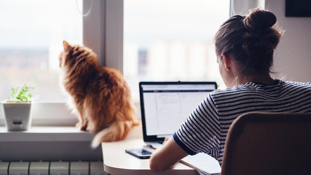 Il tribunale di Padova riconosce l'infortunio sul lavoro per una donna che si è fratturata la caviglia durante lo smart working