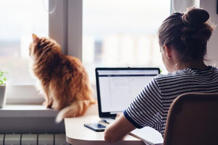 Il tribunale di Padova riconosce l'infortunio sul lavoro per una donna che si è fratturata la caviglia durante lo smart working