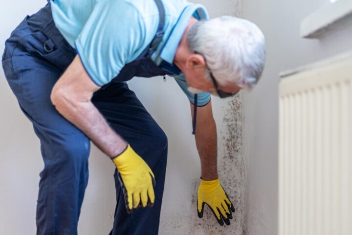 Inquinamento domestico, dieci consigli per garantire un ambiente sano e sicuro per i bambini