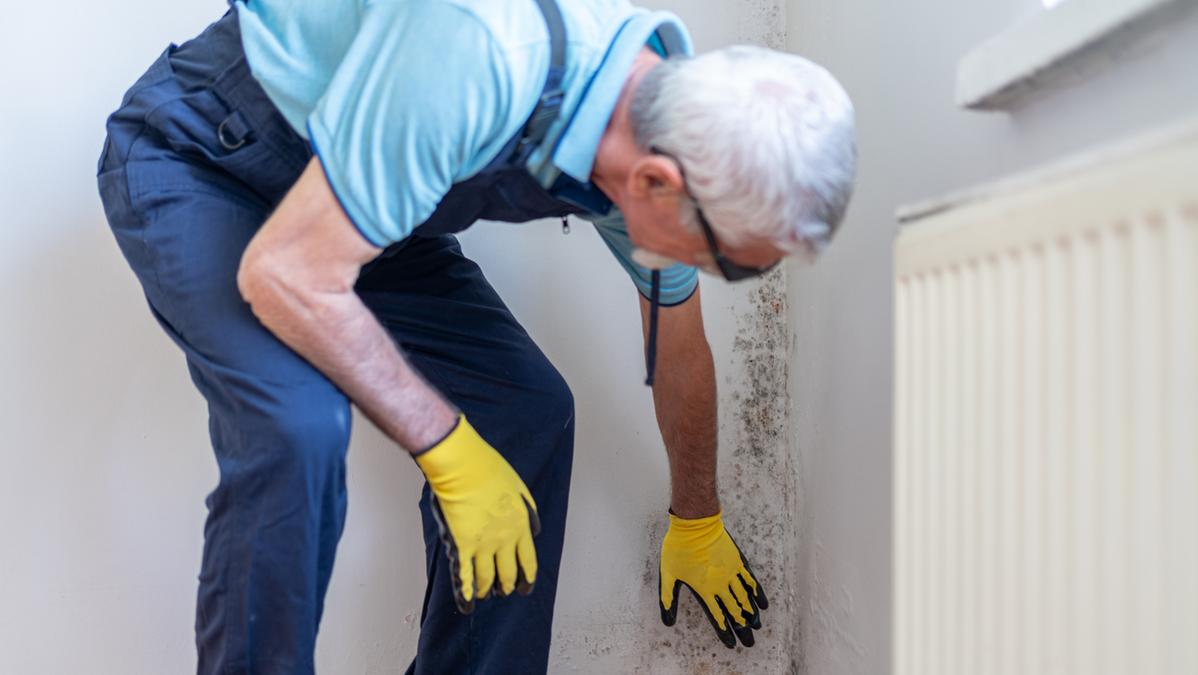 Inquinamento domestico, dieci consigli per garantire un ambiente sano e sicuro per i bambini