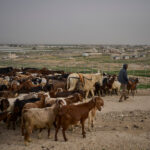 Israele avvia processo di registrazione dei terreni in Cisgiordania come “proprietà statale”