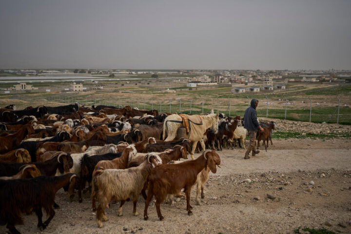 Israele avvia processo di registrazione dei terreni in Cisgiordania come “proprietà statale”