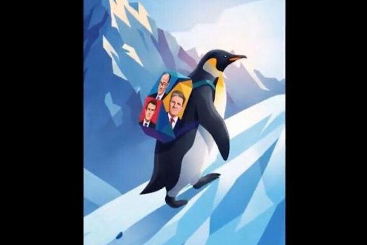 La diplomazia del pinguino: la risposta della Ue al bullismo americano attraverso i meme