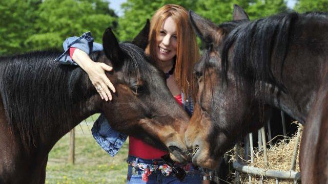 Proposta di legge Brambilla: il Parlamento italiano discute il divieto di macellazione degli equidi
