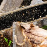 Rischi da monossido: ecco come utilizzare stufe e caminetti in sicurezza