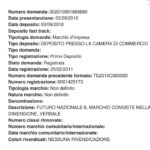 Roberto Vannacci deve cambiare nome al suo partito per violazione di marchio registrato