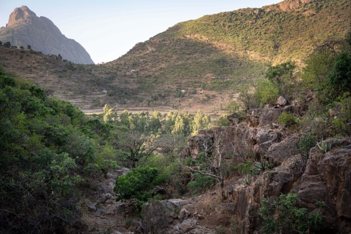 Scontri intensificati nel Tigrè: preoccupazioni per il riaccendersi della guerra in Etiopia