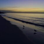 Un ragazzo di 13 anni nuota per 4 ore per soccorrere la famiglia bloccata nel mare australiano