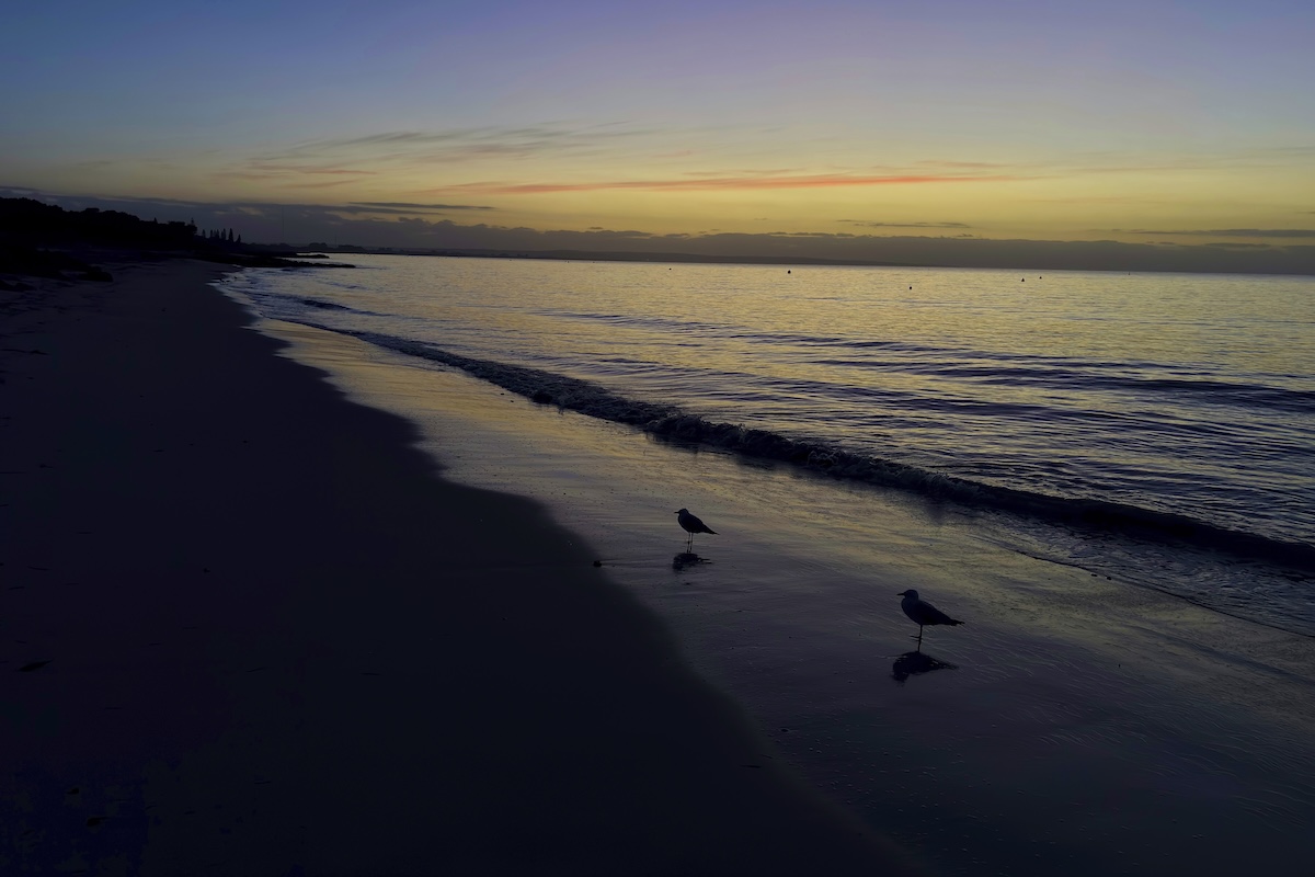 Un ragazzo di 13 anni nuota per 4 ore per soccorrere la famiglia bloccata nel mare australiano