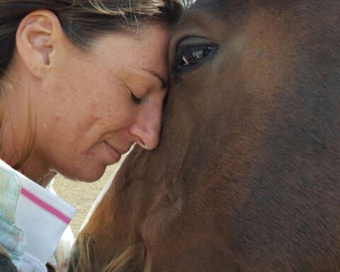 Catherine Birmingham: “Preferiamo restare in Italia, non possiamo tornare in Australia”