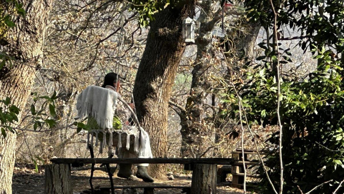 Famiglia del bosco in crisi: “Non mangio finché mamma non torna”