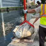 La statua di Cristoforo Colombo ricostruita davanti all'Eisenhower Building a Washington