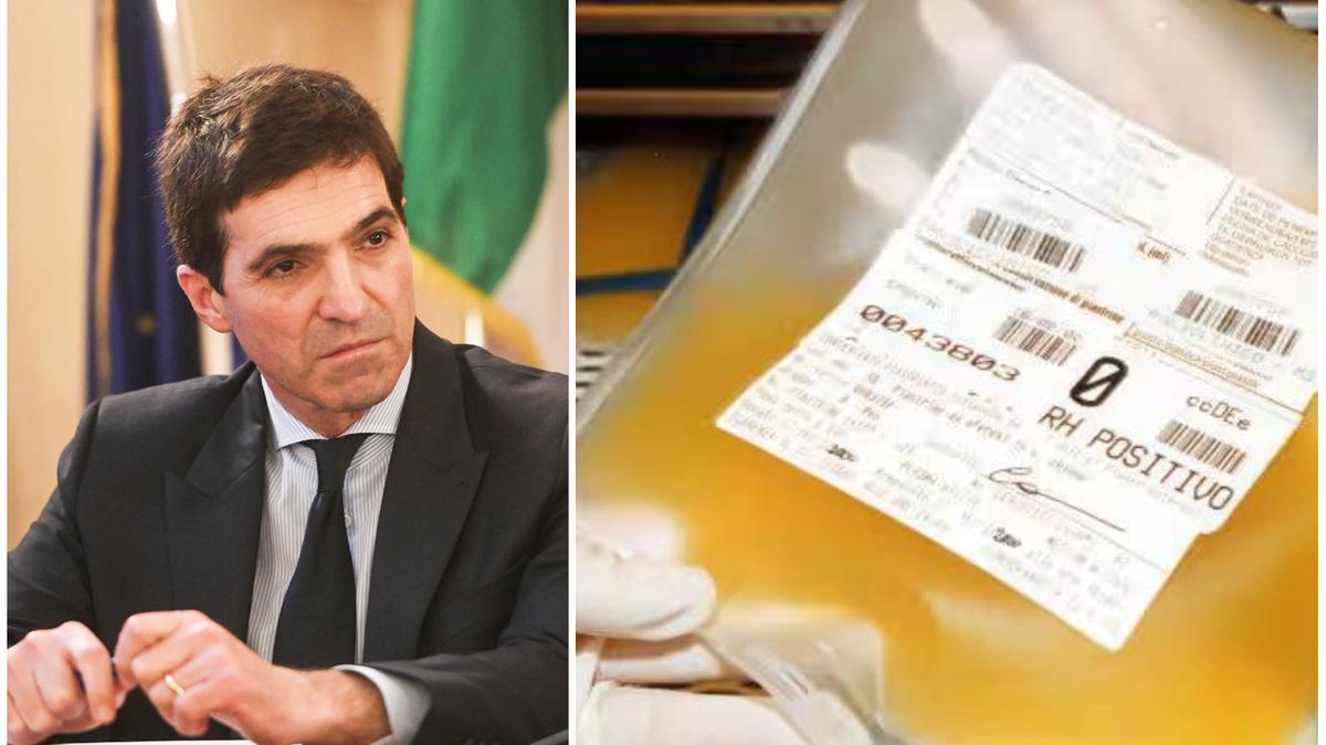 Scandalo ad Ancona: 1.600 sacche di plasma gettate per mancata lavorazione tempestiva