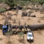 Annunciati i vincitori del World Press Photo 2026, il premio per il fotogiornalismo globale