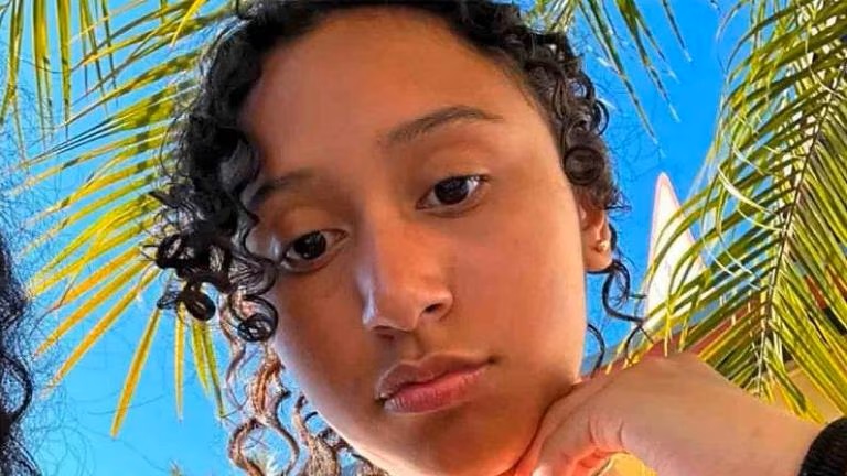 Arrestato D4vd per omicidio di una ragazza di 14 anni: il corpo trovato in una Tesla a Hollywood Hills