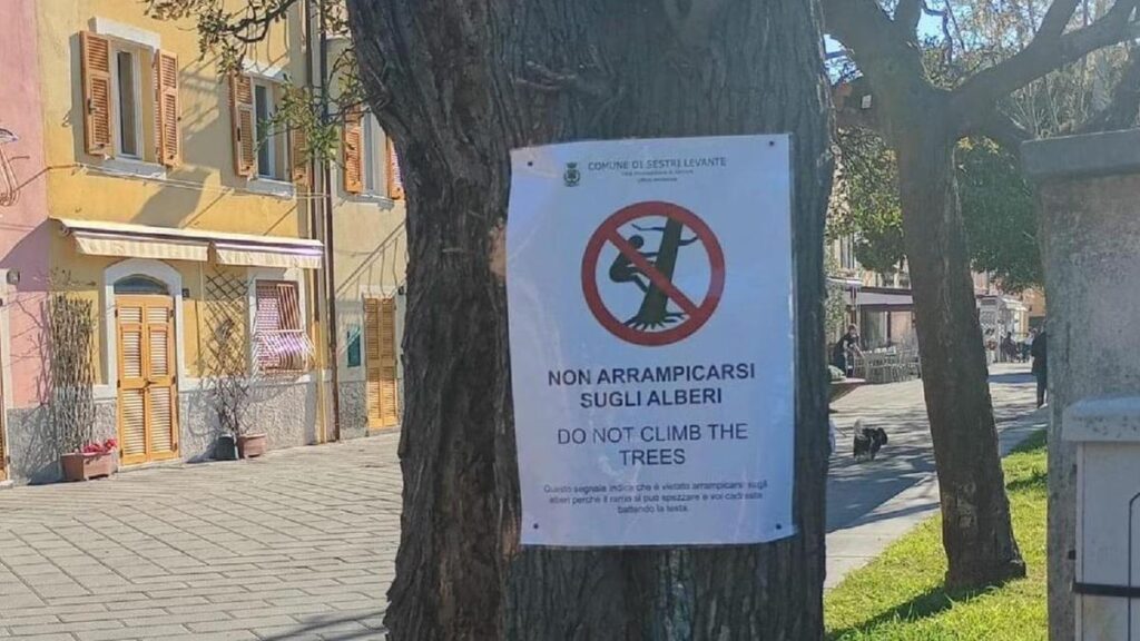 Divieto di arrampicarsi sugli alberi a Sestri Levante: la polemica continua