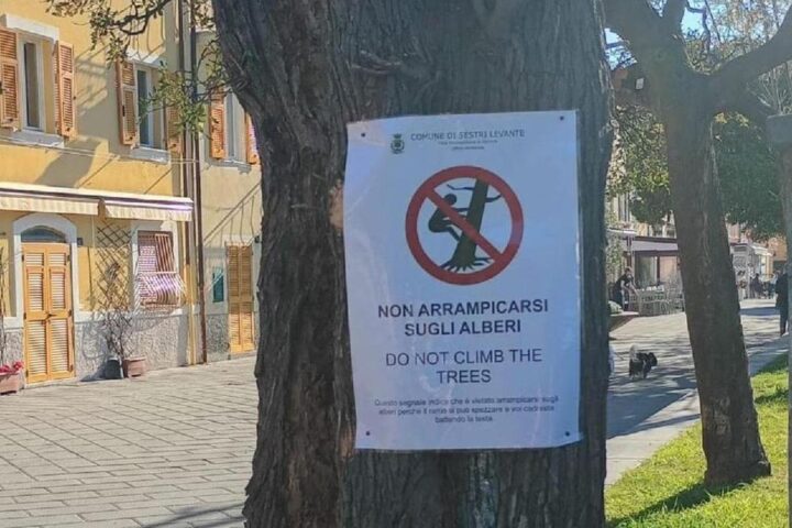 Divieto di arrampicarsi sugli alberi a Sestri Levante: la polemica continua