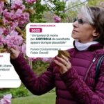 Il compleanno di Liliana Resinovich e il desiderio del fratello Sergio per il ritorno a Trieste