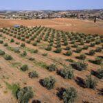 Il parlamento greco revoca l'immunità a 13 parlamentari indagati per frode sui sussidi europei