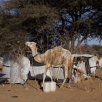 In Ciad 42 morti e 10 feriti per scontri su un pozzo d'acqua nella provincia di Wadi Fira