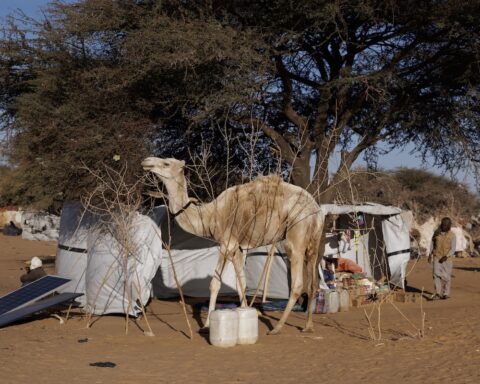 In Ciad 42 morti e 10 feriti per scontri su un pozzo d'acqua nella provincia di Wadi Fira