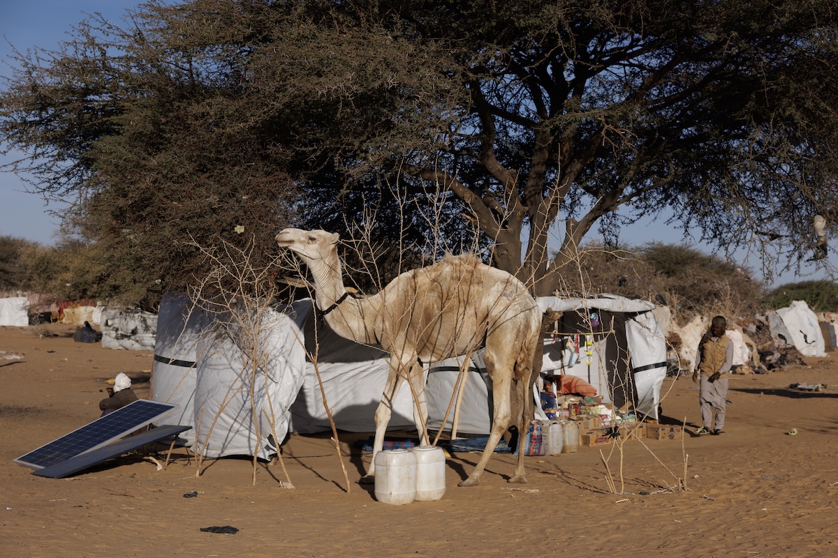 In Ciad 42 morti e 10 feriti per scontri su un pozzo d'acqua nella provincia di Wadi Fira