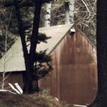 L’arresto di Unabomber: l’FBI ferma Ted Kaczynski dopo quasi 18 anni di indagini