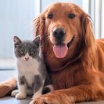 Microchip obbligatorio e registrazione per cani e gatti: il Parlamento Ue approva nuove normative europee