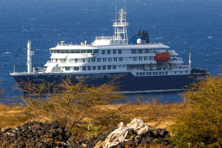 Allerta a bordo della MV Hondius: tre morti per sospetto focolaio di hantavirus