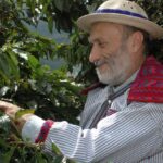 Carlo Petrini: il fondatore di Slow Food e la sua lotta per un cibo giusto e senza ogm