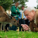 David Attenborough compie 100 anni, una celebrazione del suo amore per la natura alla Royal Albert Hall