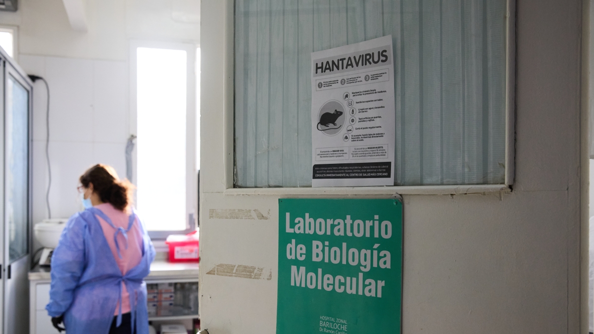 Hantavirus, 27 persone a bordo della Hondius asintomatiche in attesa di arrivo a Rotterdam