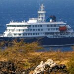Hantavirus a bordo della nave Mv Hondius, l'Oms esamina i rischi di contagio tra passeggeri