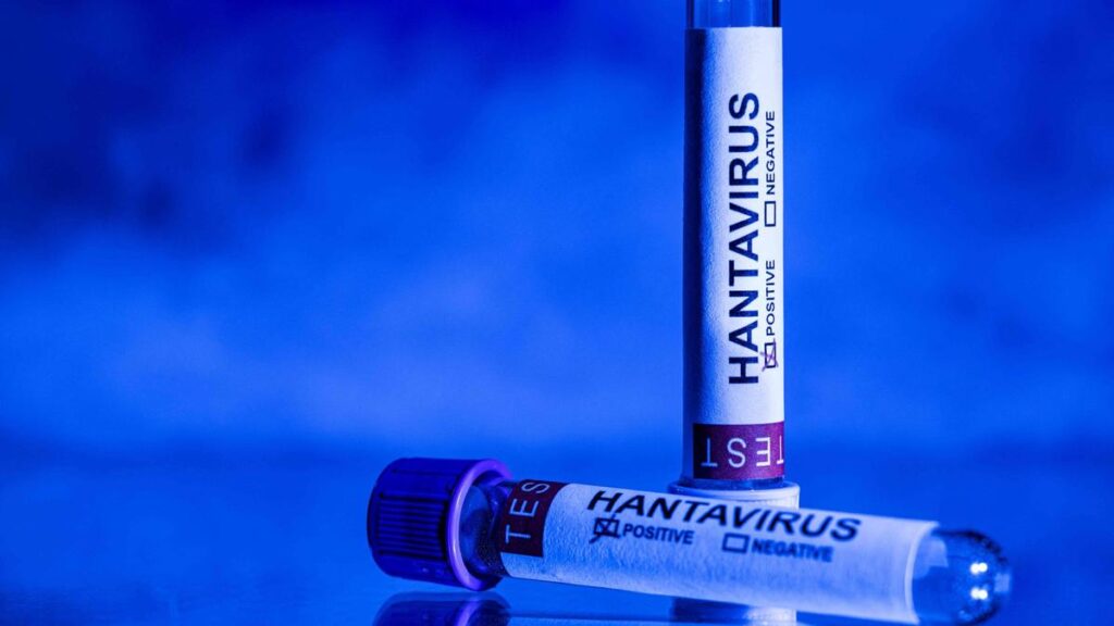 Hantavirus e vaccino anti-Covid: l'Ema avverte sulle fake news sui social media