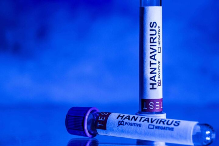 Hantavirus e vaccino anti-Covid: l'Ema avverte sulle fake news sui social media