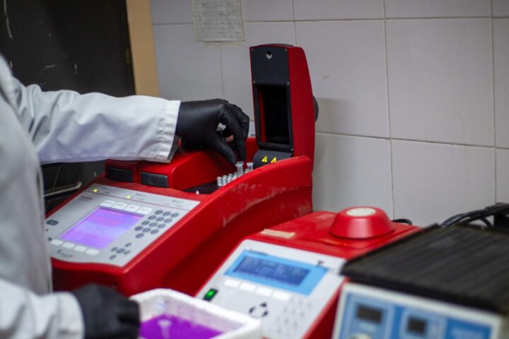 Hantavirus, i 26 contatti in Francia sono negativi: escluso contagio ad altri