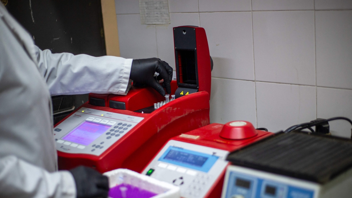 Hantavirus, i 26 contatti in Francia sono negativi: escluso contagio ad altri