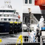 Hantavirus, positivo un membro dell'equipaggio della nave Hondius: Oms registra 12 casi e 3 decessi