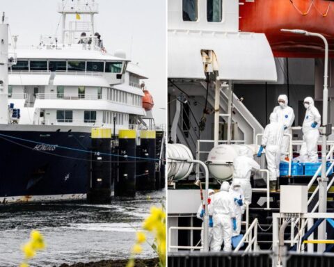 Hantavirus, positivo un membro dell'equipaggio della nave Hondius: Oms registra 12 casi e 3 decessi