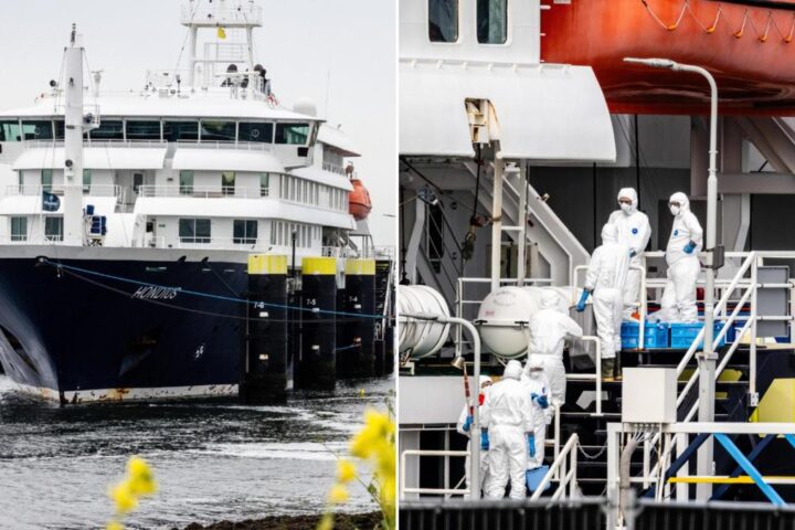 Hantavirus, positivo un membro dell'equipaggio della nave Hondius: Oms registra 12 casi e 3 decessi