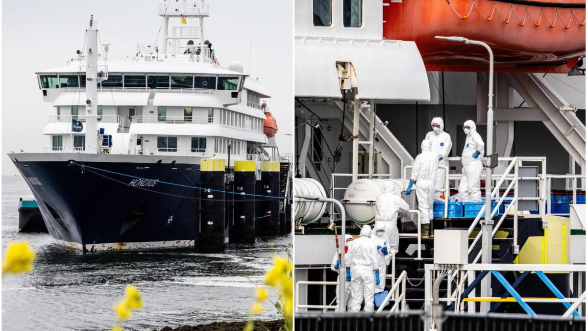 Hantavirus, positivo un membro dell'equipaggio della nave Hondius: Oms registra 12 casi e 3 decessi