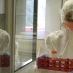Hantavirus: tre morti e ricoveri a bordo della nave da crociera MV Hondius