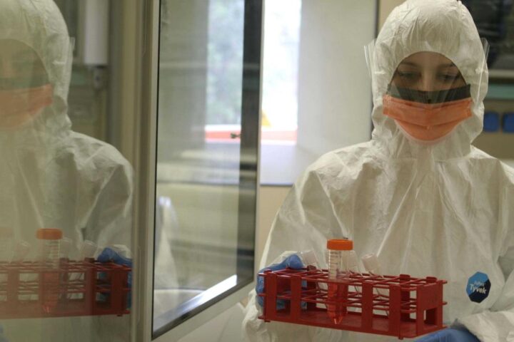 Hantavirus: tre morti e ricoveri a bordo della nave da crociera MV Hondius