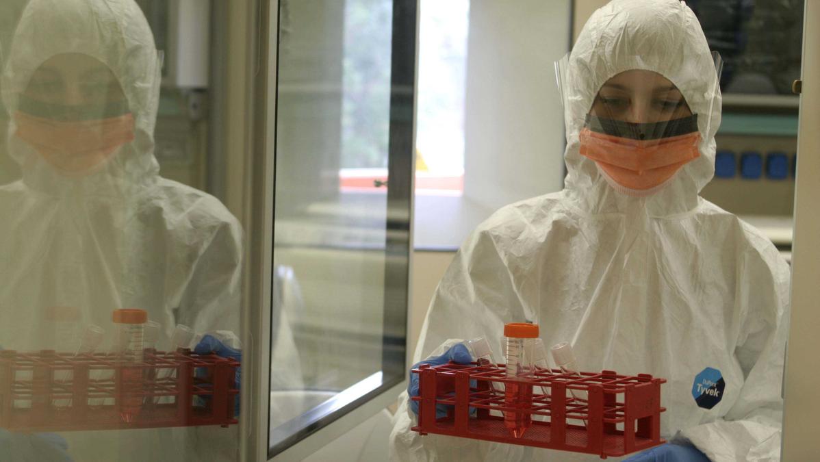 Hantavirus: tre morti e ricoveri a bordo della nave da crociera MV Hondius