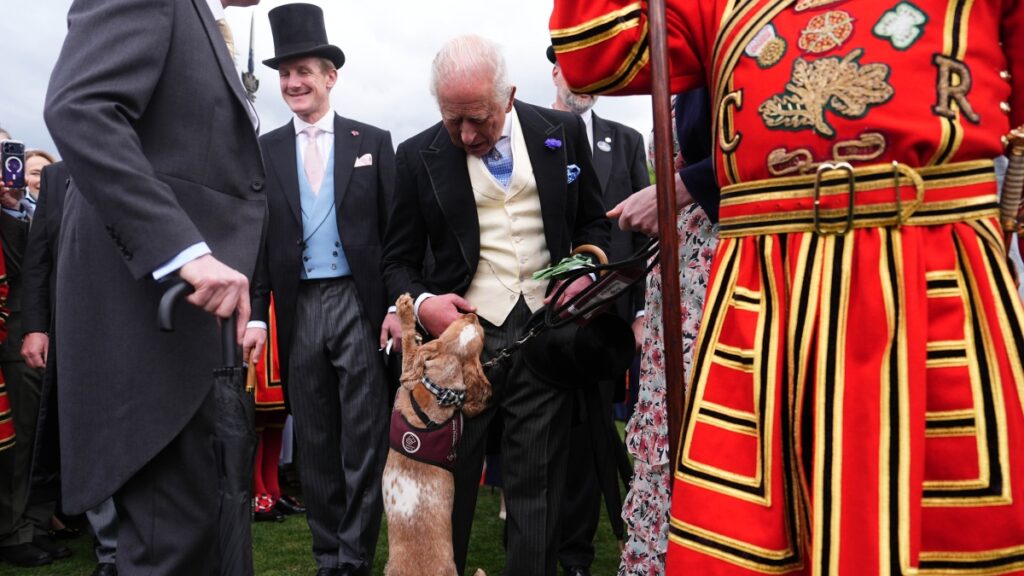 Il Royal garden party con re Carlo e regina Camilla segna il terzo anniversario dell'incoronazione