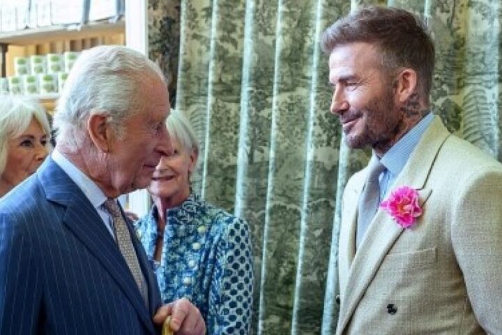 La rosa del re Carlo III fa il suo esordio a Milano durante Orticola 2026